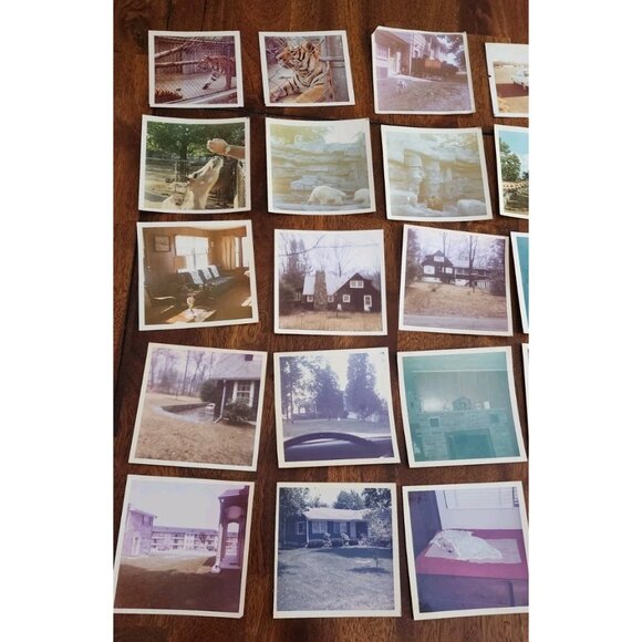 LOT  Of 35 vintage 1970's  PHOTOS Home Interiors Furniture Scenery Animals Zoo - Picture 2 of 12